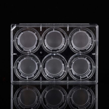 6 Cell Culture Inserts+6 Well Plate, 0.4 ?m, PET Membrane, TC, Sterile, 6/pk, 60/cs