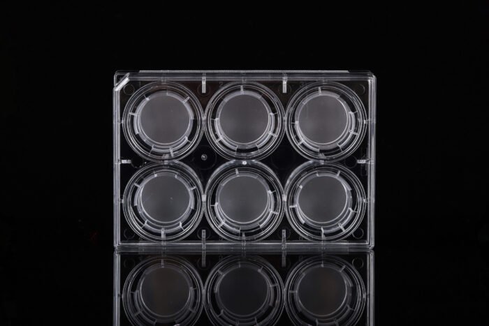 6 Cell Culture Inserts+6 Well Plate, 0.4 ?m, PET Membrane, TC, Sterile, 6/pk, 60/cs - Image 1