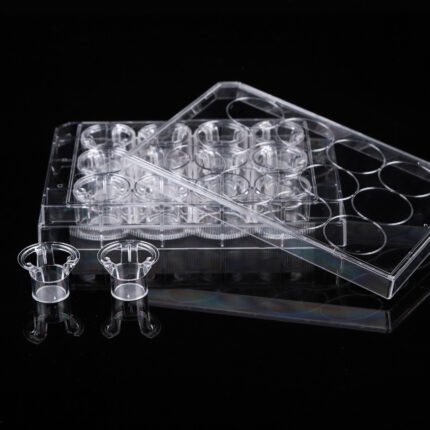 12 Cell Culture Inserts+12 Well Plate, 3 ?m, PC Membrane, TC, Sterile, 12/pk, 120/cs