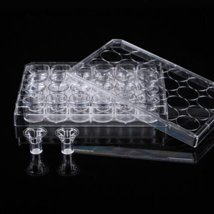 12 Cell Culture Inserts+24 Well Plate, 0.8 ?m, PET Membrane, Non-Treated, Sterile, 12/pk, 120/cs