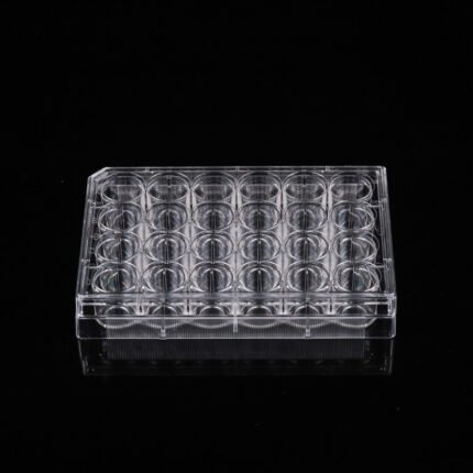 24 Well Glass Bottom Cell Culture Plate,? 10mm,TC, sterile 1/pk, 10/cs