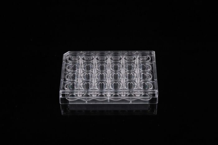 24 Well Glass Bottom Cell Culture Plate,? 10mm,TC, sterile 1/pk, 10/cs - Image 1