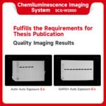 Chemiluminescence Imaging System SCG-W2000 - Image 3