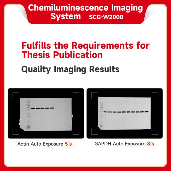 Chemiluminescence Imaging System SCG-W2000 - Image 3