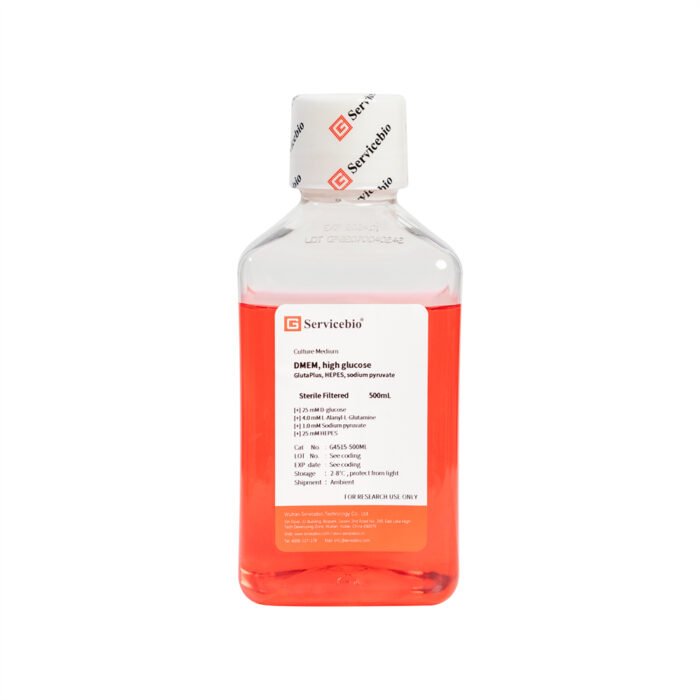 DMEM High Glucose, L-Glutamine, HEPES, Sodium Pyruvate - Image 1