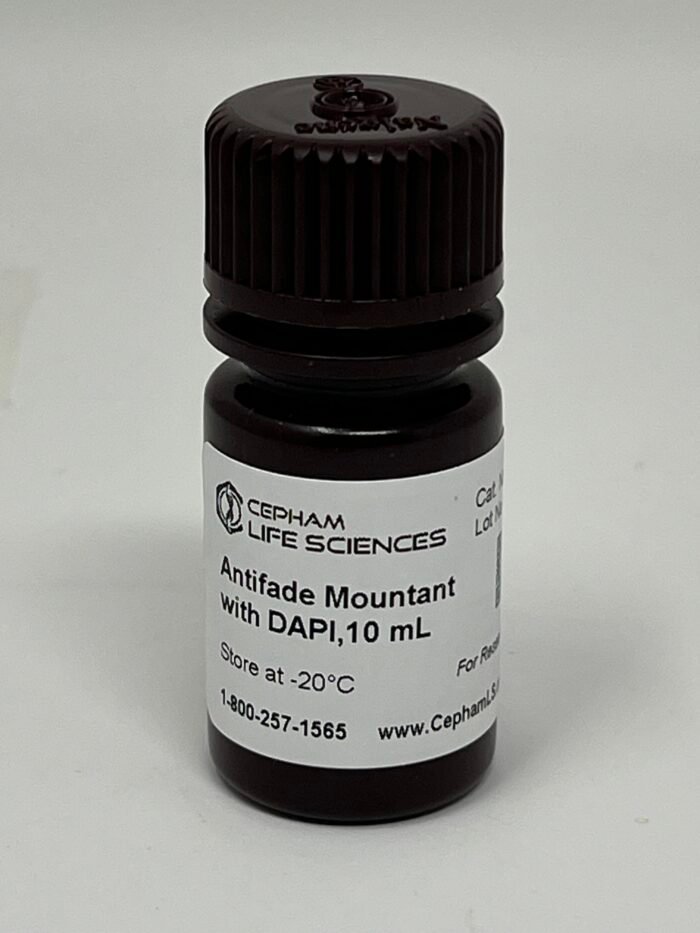 Antifade Mountant with DAPI - Image 1