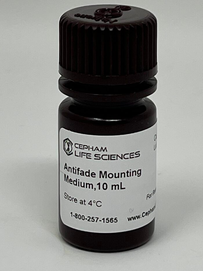 Antifade mounting medium - Image 1