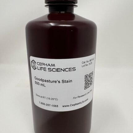 Goodpasture's Stain