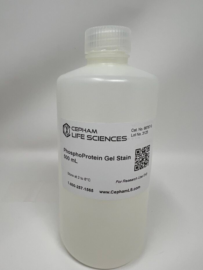 Phosphoprotein Gel Stain - Image 1