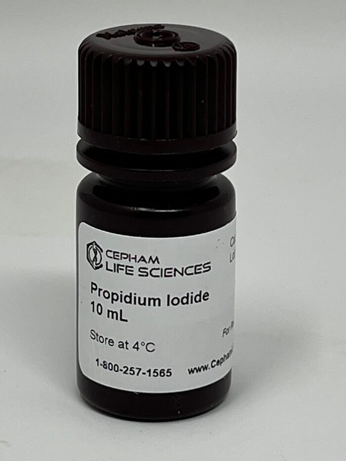 Propidium Iodide stain - Image 1