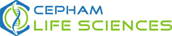 100 bp DNA Ladder - Image 1