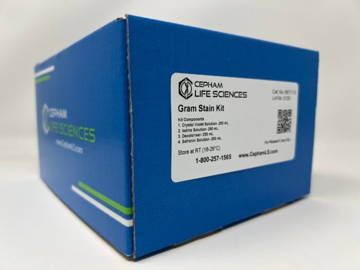 Gram Stain Kit - Image 1