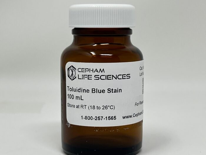 Toluidine Blue Stain (Kit) - Image 1