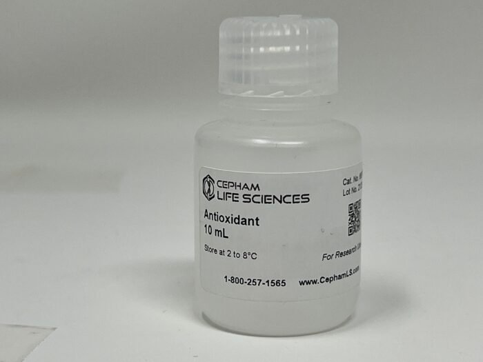 Antioxidant for Western Blotting - Image 1
