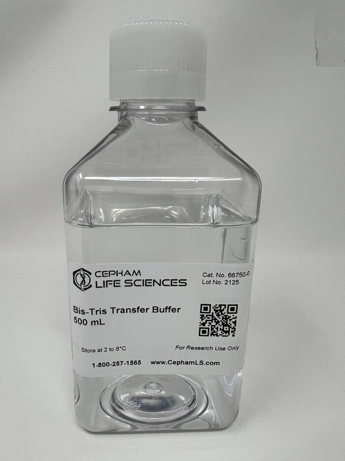 Bis-Tris Transfer Buffer (20X) - Image 1