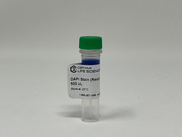 DAPI Stain (Ready to use) - Image 1
