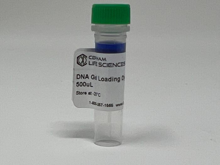 DNA Gel Loading Dye 6X - Image 1